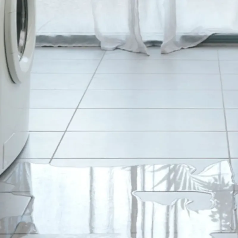 Appliance Leak Cleanup in Fruitport, MI