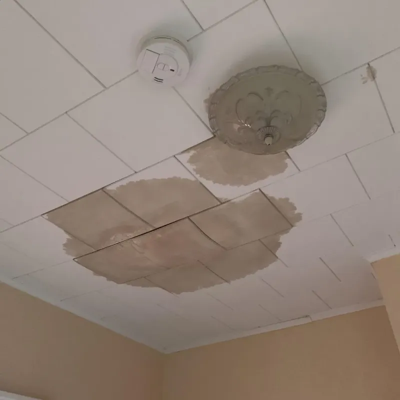 Ceiling Water Damage Repair in Fruitport, MI