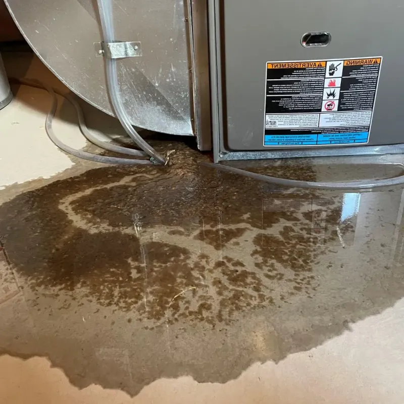 Pipe Burst and Leak Restoration in Fruitport, MI