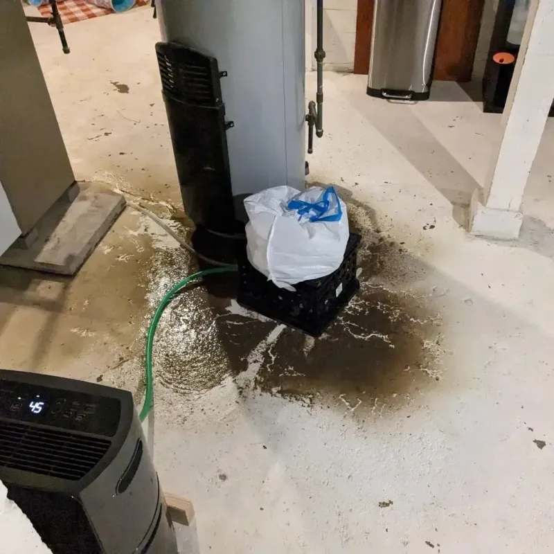 Sewage Backup Cleanup Service in Fruitport, MI